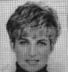 pr_di_laser.jpg (86579 bytes)